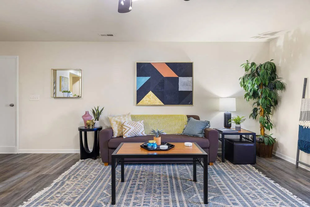 Apartment Amenities