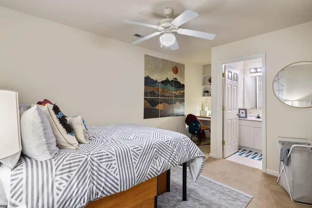 pet friendly four bedroom apartments near ECU greenville nc the horizon student living at The Horizon