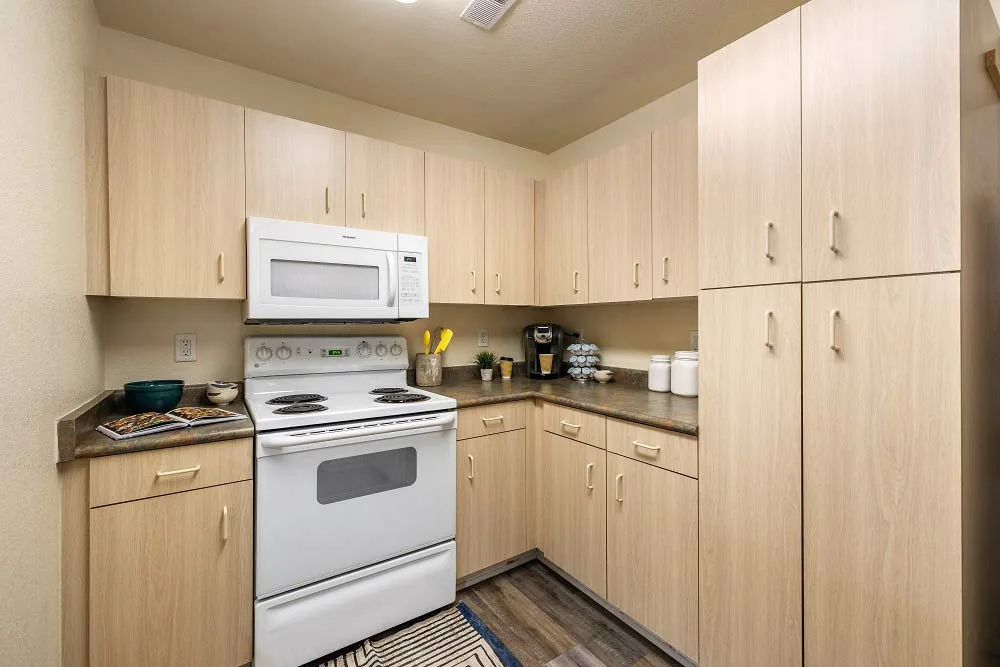three bedroom apartments near ECU greenville nc the horizon student living washer dryer included at The Horizon
